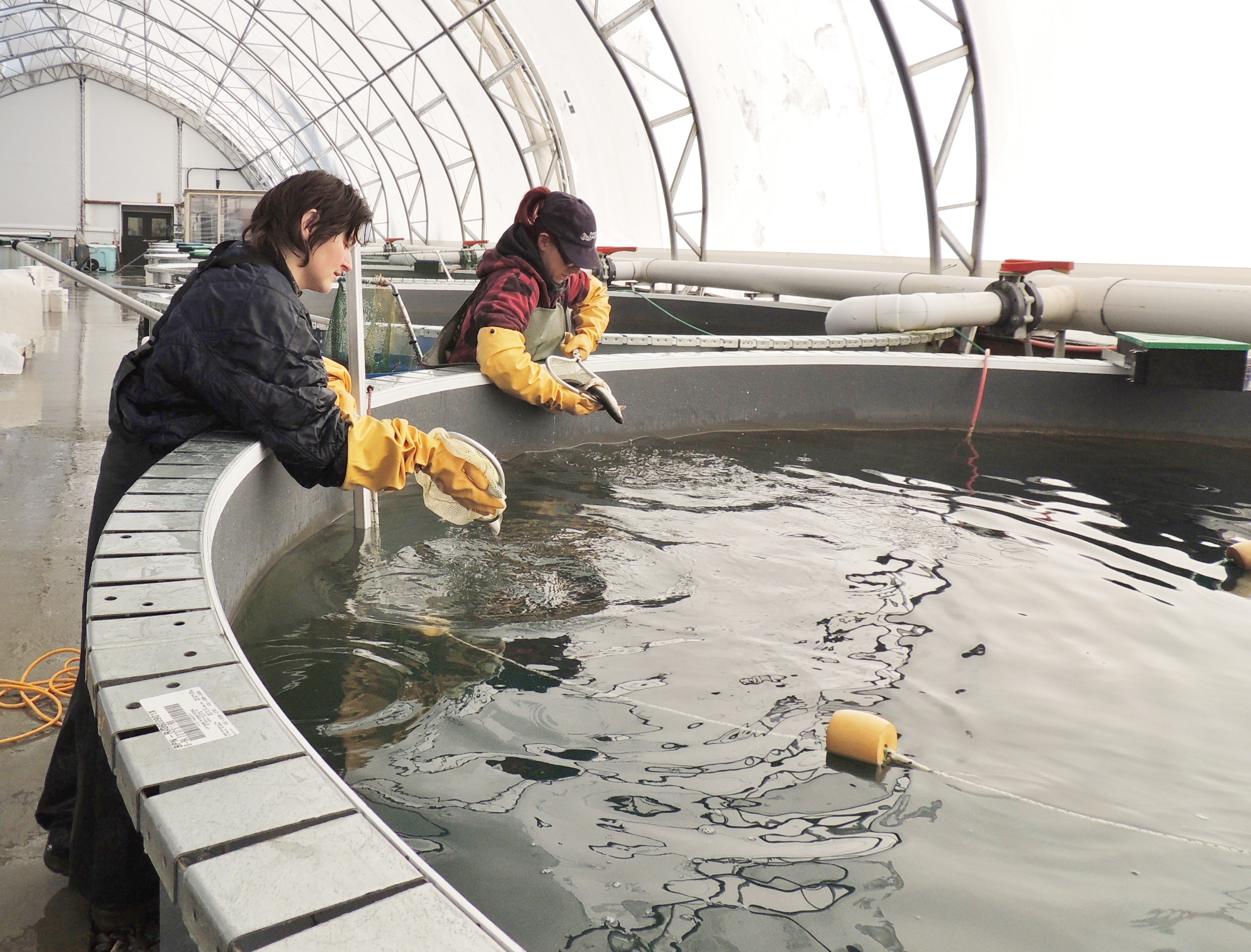 La Pisciculture - Raymer Aquaculture | Raymer Aquaculture